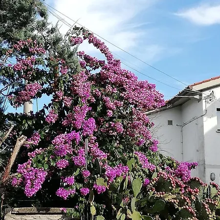 Soggiorni Dana 4* Duino