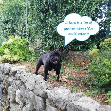 Soggiorni Dana 4* Duino