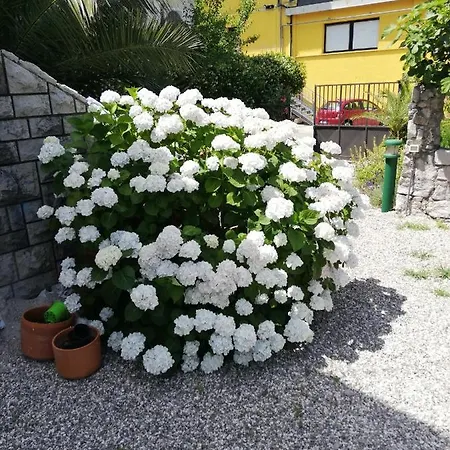 Bed & Breakfast Soggiorni Dana