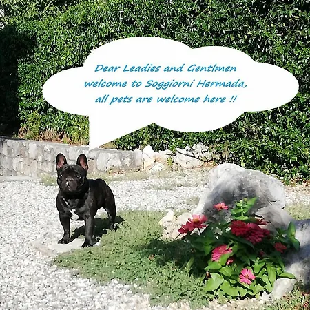 Bed & Breakfast Soggiorni Dana Duino