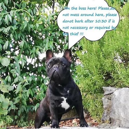 Soggiorni Dana Bed & Breakfast