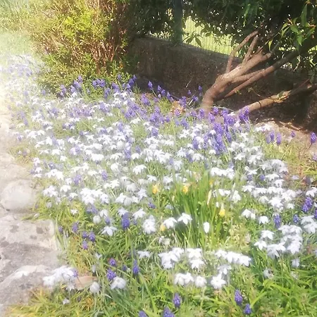 Soggiorni Dana Bed & Breakfast 4*