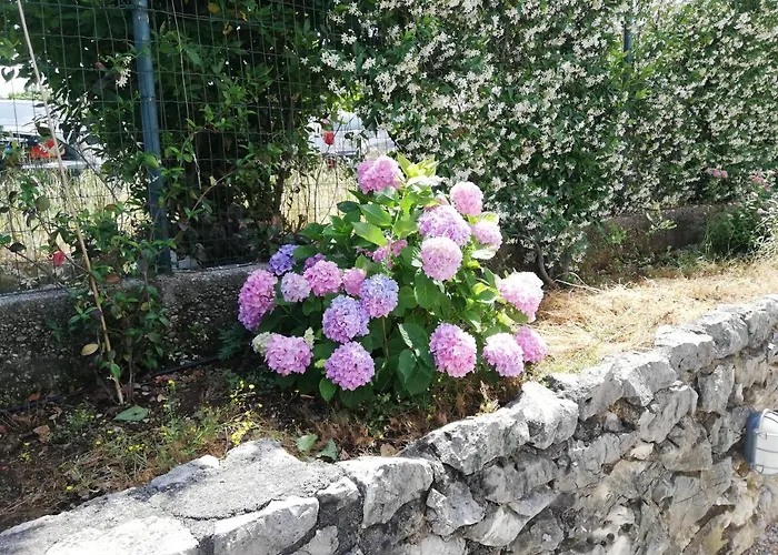 Soggiorni Dana Bed and breakfast