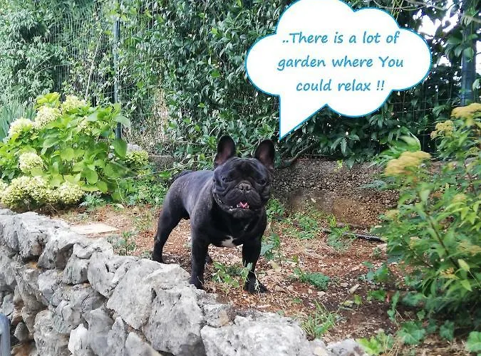 Soggiorni Dana 4* Duino