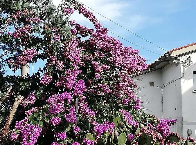 Soggiorni Dana 4* Duino