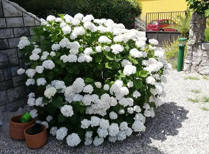 Bed and breakfast Soggiorni Dana