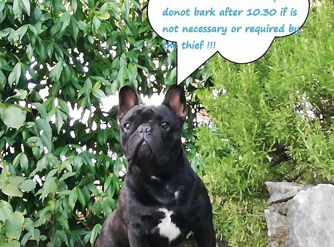 Soggiorni Dana Bed and breakfast