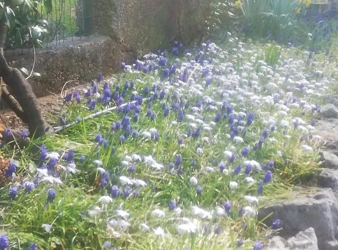 Soggiorni Dana 4* Duino