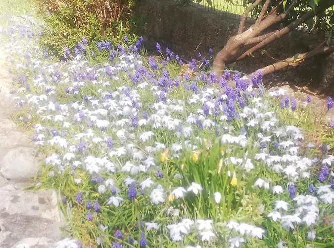 Soggiorni Dana Bed and breakfast 4*